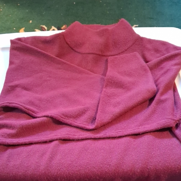 Milano Sweaters - Milano Rich Plum Turtleneck Sweater (Rox204)